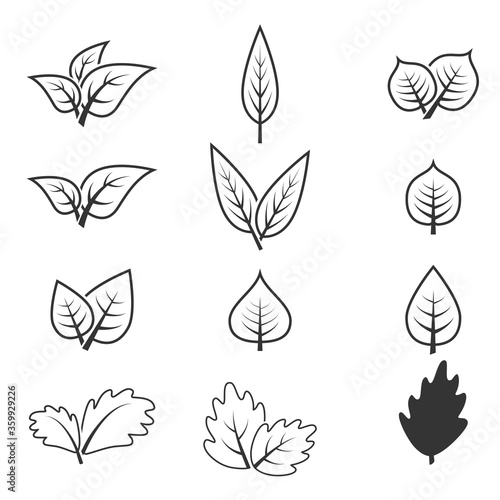 leaf icon vector  design illustration