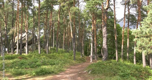 4K high quality video footage of forest above medieval Porvoo old town on river Porvoonjoki, area 50 km east of Helsinki, capital of Finland in northern Europe