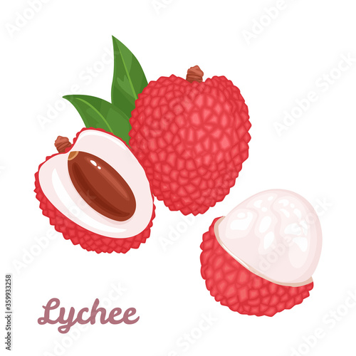 Lychee fruit set. Whole tropical fruit, half, peeled and green leaves Isolated on a white background. Vector illustration in cartoon flat style.