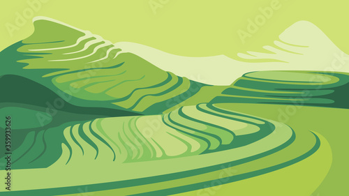 Landscape with rice terraces. Beautiful agricultural scenery.