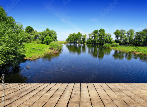 Lake and green trees, summer landscape