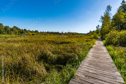 Fototapeta Naklejka Na Ścianę i Meble -  Nature reserve Pfrunger-Burgweiler-Ried in autumn