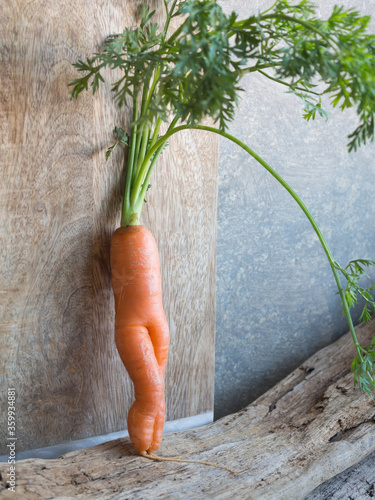 Obraz na plátne unusual carrot shape as a sexy female legs on wood surface upstanding with green