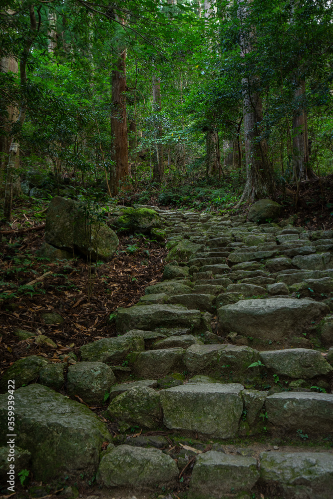 修行僧の道(日本 - 和歌山 - 熊野古道) 修行僧の道(日本 - 和歌山 - 熊野古道)