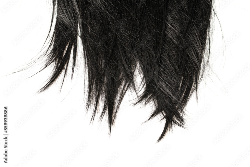 Black hair tips isolated on white. Black hair tips isolated on white.