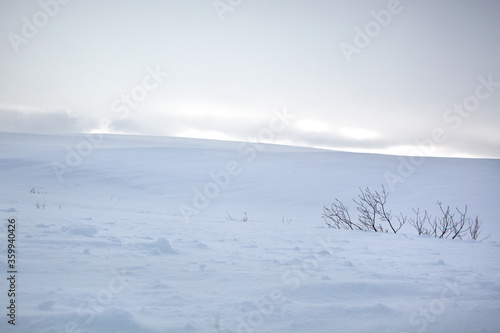 Arctic Tundra landscape in winter © Matt