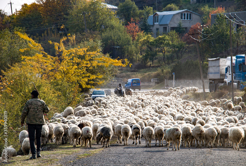 A shepherd leads his flock of sheep along a road near Tbilisi, Georgia
