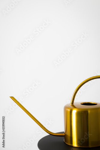 Gold watering can for flowers on the white background 