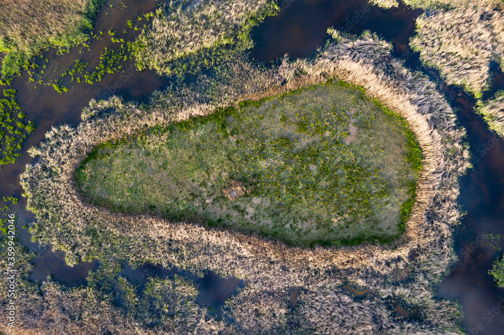 Aerial view of small swamp. Abstract background.