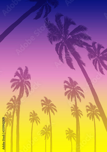 Summer tropical background with palm trees and sunset, vector art illustration.