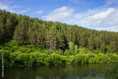 Beautiful nature, river, green forest and blue sky