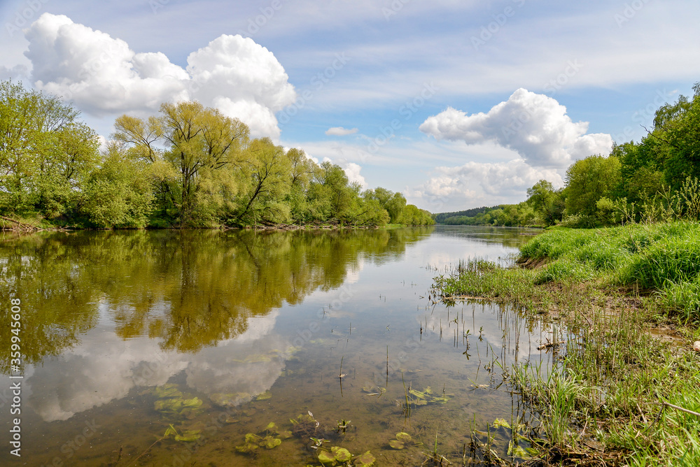 summer landscape with river and blue sky summer landscape with river and blue sky