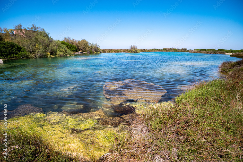 Spundulata Maggiore is a pond in the Palude del Capitano Nature Reserve, Nardò, Salento, Lecce, Apulia, Italy