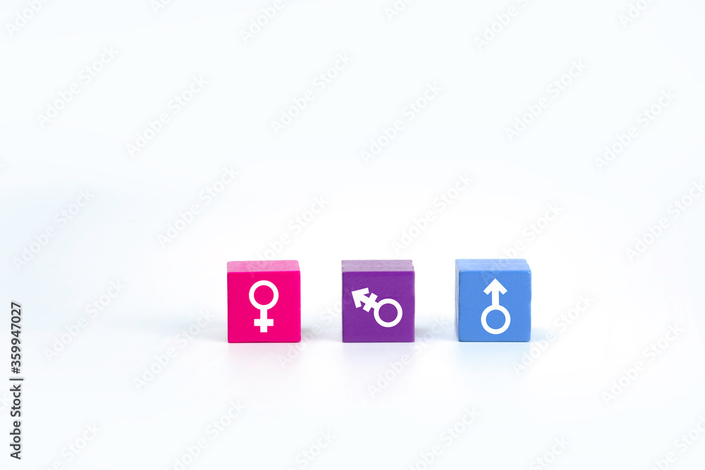 Sex symbol on cube isolated on white background,soft pastel color,woman LGBT and man symbol, lesbian gay bisexual transgender, Relax color concept, Sex symbol on cube isolated on white background,soft pastel color,woman LGBT and man symbol, lesbian gay bisexual transgender, Relax color concept,