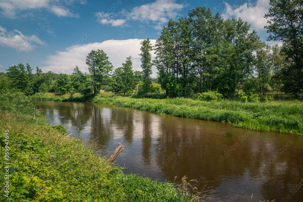 Liwiec river valley near Korytnica, Masovia, Poland