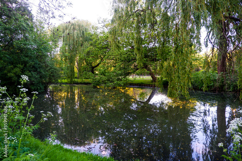 pond in the park
