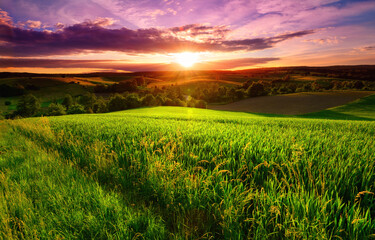 Papier peint photo Salle à manger Prairie verte au crépuscule dramatique  © Smileus