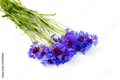 Bouquet of blue cornflowers isolated on white background. Space for text