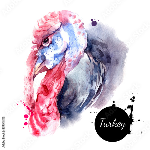 Watercolor hand drawn turkey profile head illustration. Vector painted sketch farm animal isolated on white background
