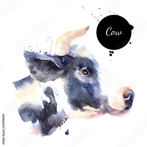 Watercolor hand drawn cow profile head illustration. Vector painted sketch isolated on white background
