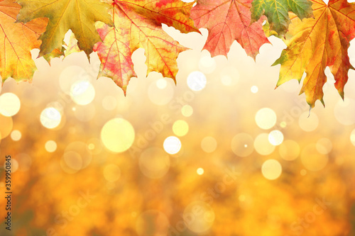 Beautiful autumn leaves outdoors on sunny day  space for text. Bokeh effect