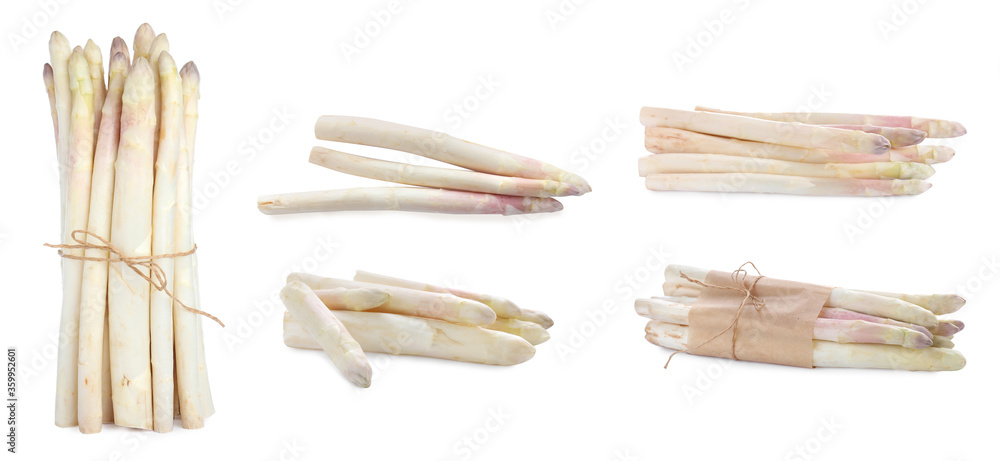 Set with fresh ripe asparagus on white background. Banner design Set with fresh ripe asparagus on white background. Banner design