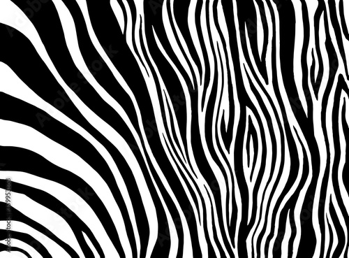 Zebra print, animal skin, tiger stripes, abstract pattern, line background. Amazing hand drawn vector illustration. Poster, banner. Black and white artwork, monochrome