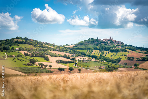 Marche Region, cultivated hills in summer, meadow, wheat and green fields. Italy photo