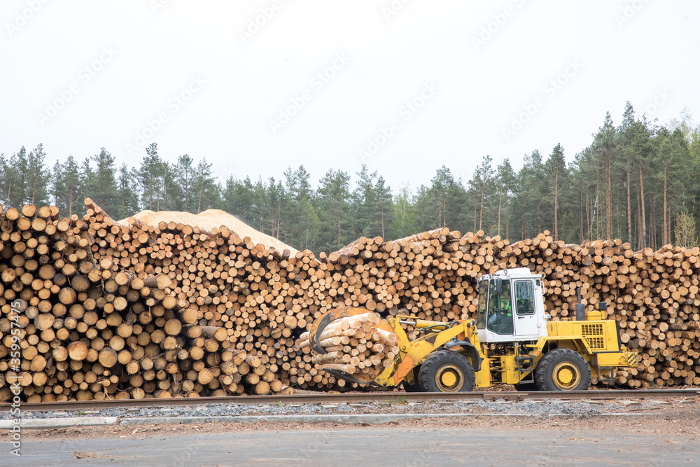 Warehouse with the production of woodworking sawmills, logs, boards and lumber