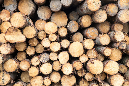 Warehouse with the production of woodworking sawmills  logs  boards and lumber