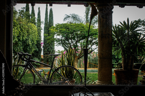 bicycle in the rainy garden