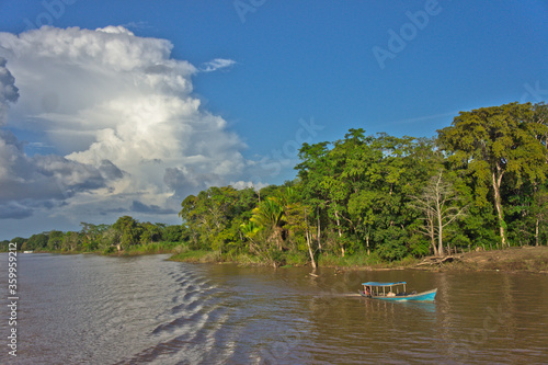 Amazon Basin  Brazil