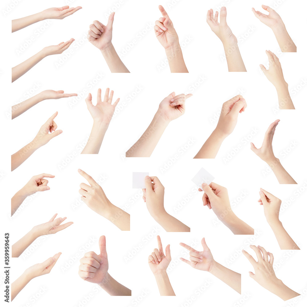 multiple collection hand of woman in gesture isolated on white background multiple collection hand of woman in gesture isolated on white background