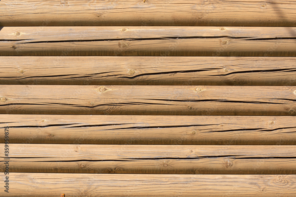 texture of a wood texture of a wood