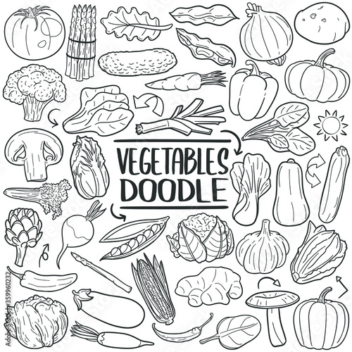 Vegetables doodle icon set. Plant Nutrition Vector illustration collection. Healthy Food Hand drawn Line art style.