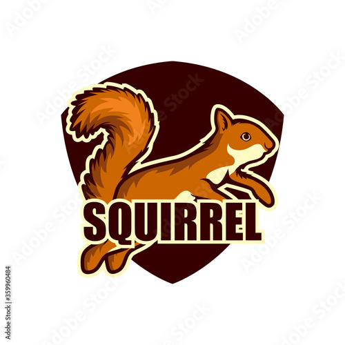 squirrel logo isolated on white background vector illustration