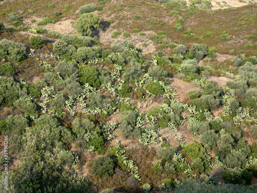 Paesaggio di Sardegna #359961266