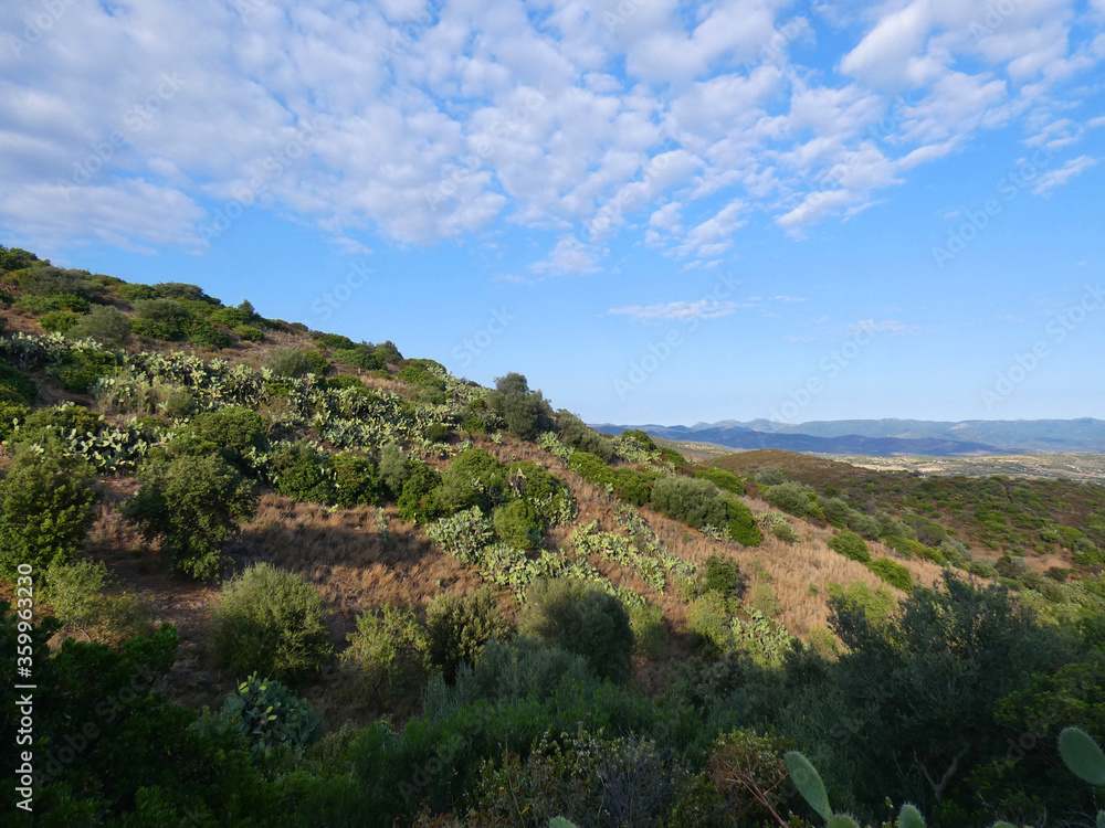 Paesaggio di Sardegna