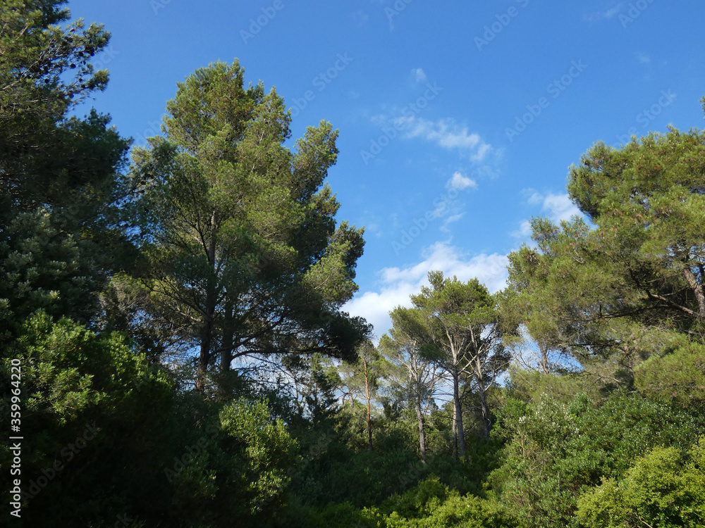 Paesaggio di Sardegna