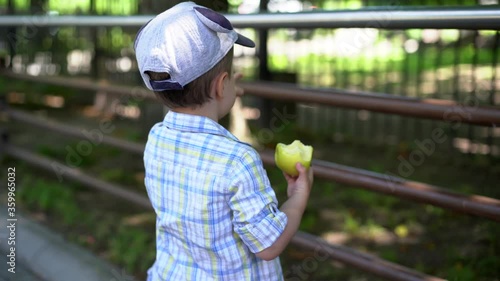 A small boy of European appearance stands at the iron railing in the zoo / Park and eats a green Apple, turns to face the camera, says something and points his finger in different directions