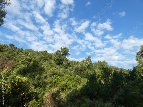 Paesaggio di Sardegna