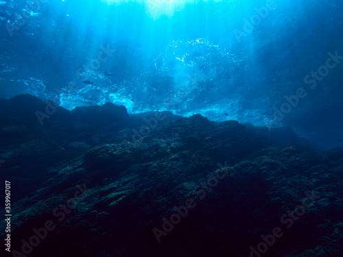 Magic Underwater Landscape