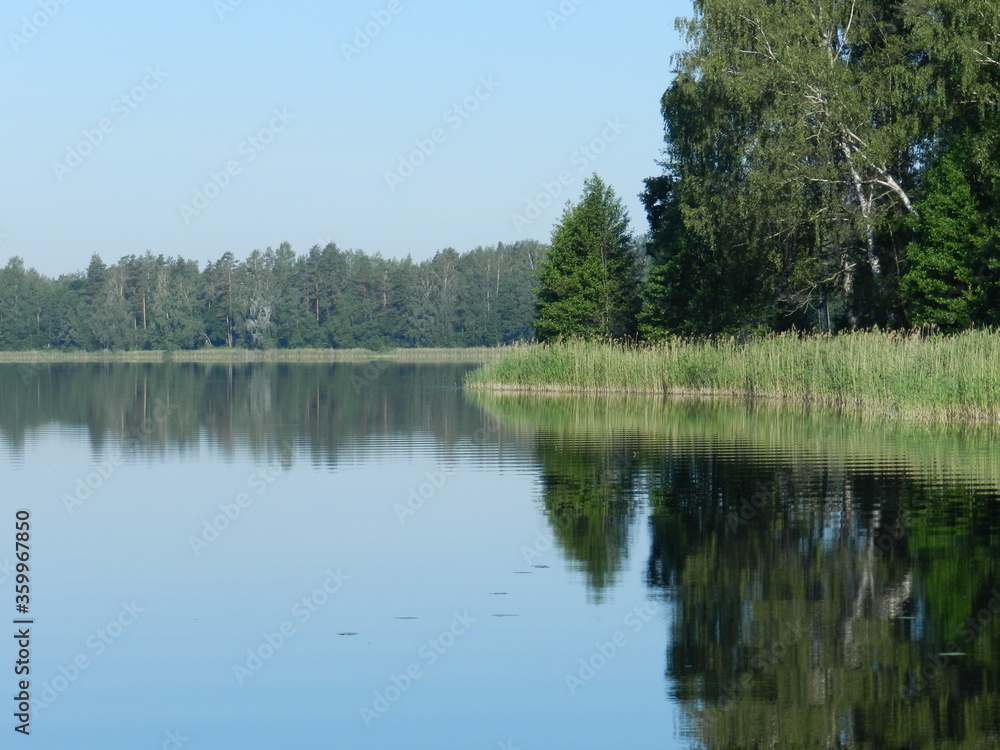 reflection of trees in the water reflection of trees in the water