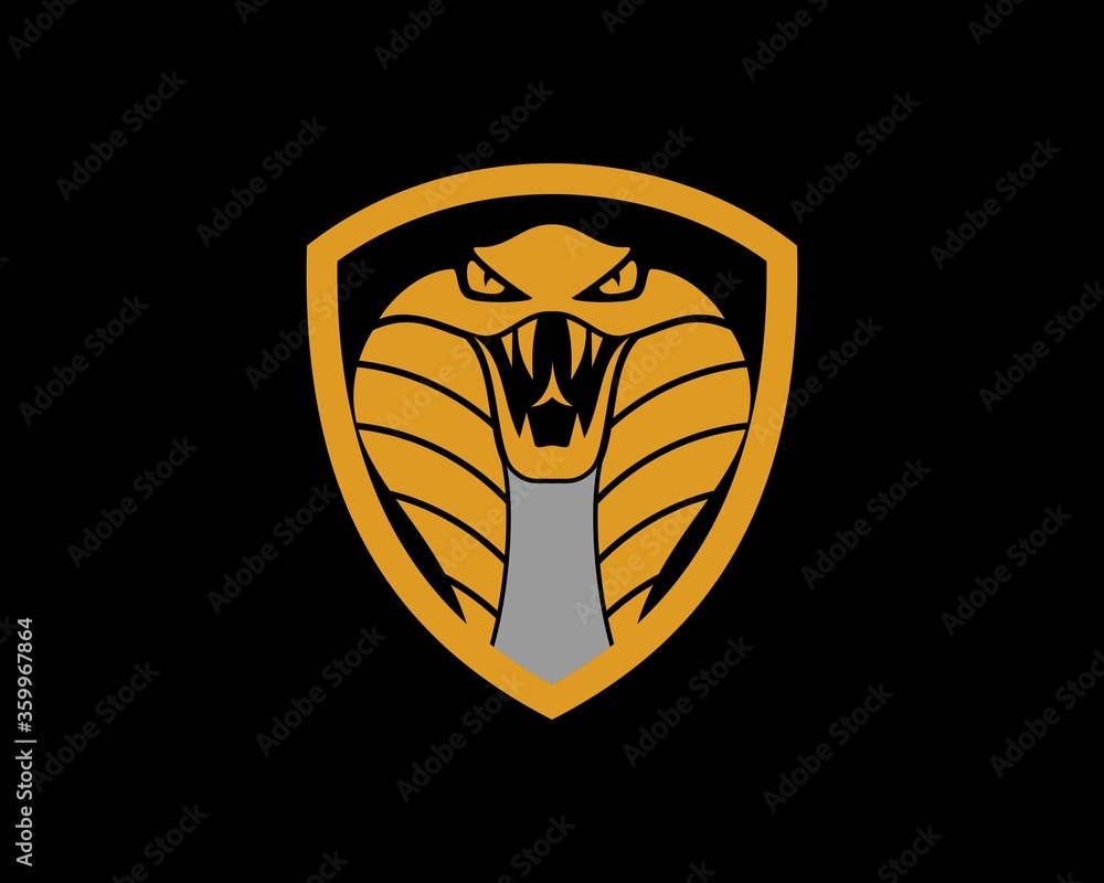 Obraz premium King cobra with golden shield