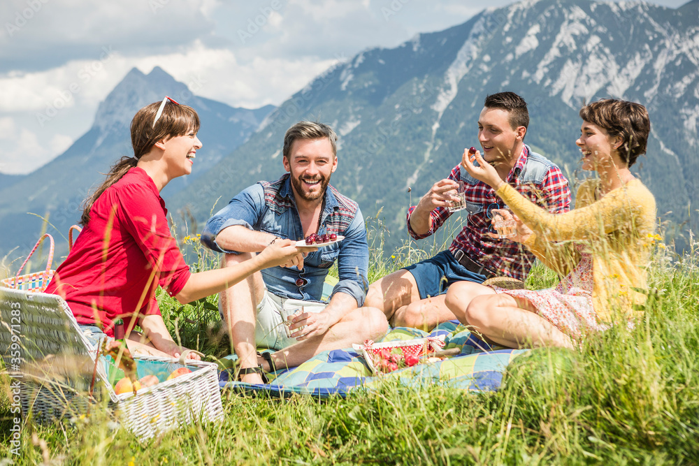 Friends having a picnic on a meadow in the mountains, Achenkirch, Austria Friends having a picnic on a meadow in the mountains, Achenkirch, Austria