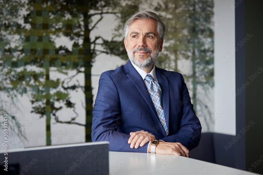 Portrait of confident mature businessman in office Portrait of confident mature businessman in office