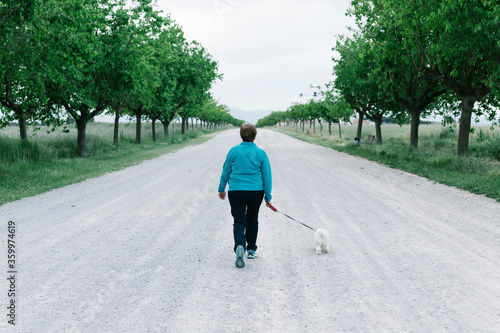 Back view of senior woman going walkies with her dog on alley photo