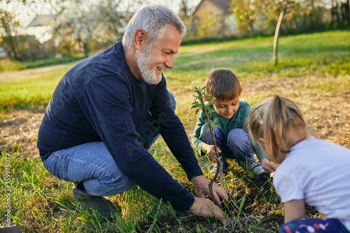 Smiling mature man planting tree with grandchildren at garden