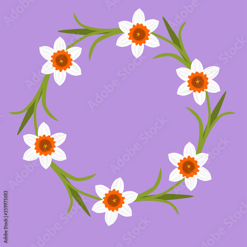Daffodil circle frame. Narcissus flower ornament on purple background. Decoration element. Flat design. Botanical illustration. © NATTHAPHORN
