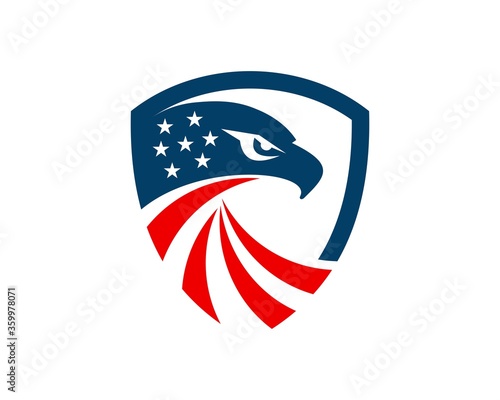 Protection shield with eagle head and star inside